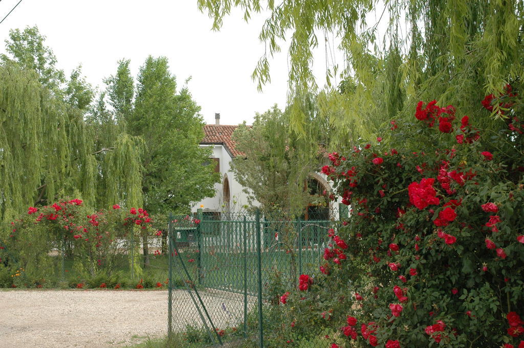 Rose Rosse Bed & Breakfast *