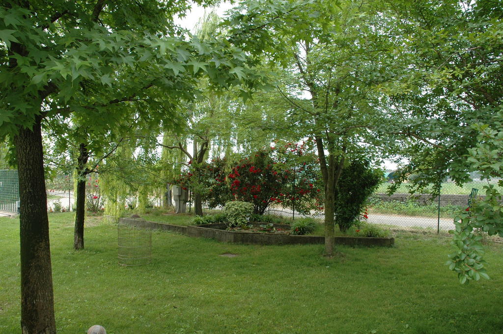 Bed & Breakfast Rose Rosse Cadi David