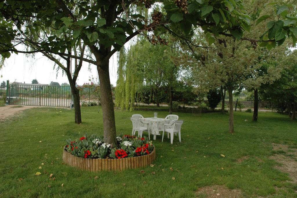 Rose Rosse